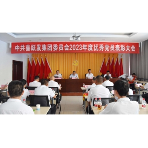 集團(tuán)黨委隆重召開(kāi)優(yōu)秀黨員表彰大會(huì)