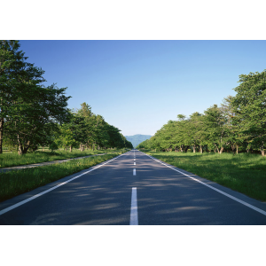 瀝青路面病害及其養(yǎng)護(hù)